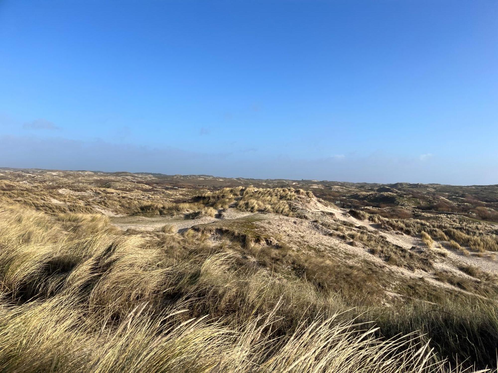 Aan Zee * Egmond aan Zee